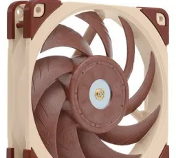 Отзыв на Система охлаждения для корпуса Noctua NF-A12x25 PWM: бесшумный от 25.1.2023 2:36 от 25.1.2023 2:36