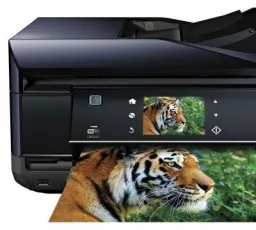 МФУ Epson Expression Premium XP-800, количество отзывов: 8